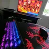 fragger.ayskow60hz