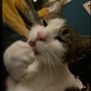 .helolo_5660