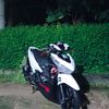 varlii_580