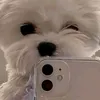 dheejay_09