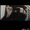 ahmad__atef