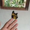 baintada.el.niedza