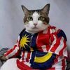 faizal354313