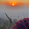 zv_3f