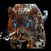 li2_005li