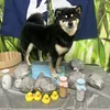 komukomuhime