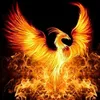 phoenix.0366