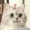 user199922333
