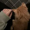 mmyykjj