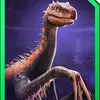 indospinos