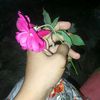 sadiya.alam.shahid
