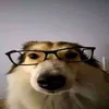 gafarama