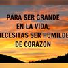 miguel.ortiz7774