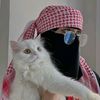 user1sqzxae9ym