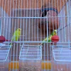 elhachimsara