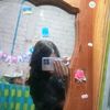 nicki_56321