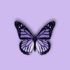 bebobebo2837