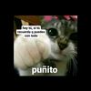 Neni