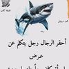 user7092181347213