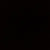 leanderson_zzct