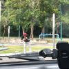 elzuansyah.com