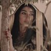 limona_2
