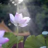 thanhhieu810