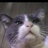 claudia_10.06_ncn