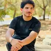 sarwat.shwany