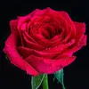 lynda.rabat