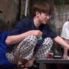 pecintawonu