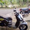andreboim12