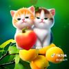 user30215765talha