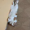 danielhectorrios5
