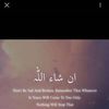 alirazaawan592