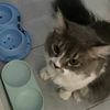 songkan58_