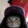 froggitlovesbeingnice