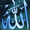 ahmedgamalyla