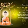 bichthao933