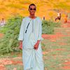bedri___concels__8