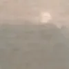 ucccpry
