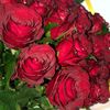neysen02