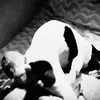 lulu_9300
