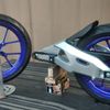 24.custombike