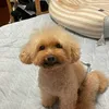 hiro_kago1970