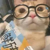 yu_jin511