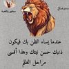 mahmoud.mohmed519
