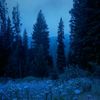 mariamyoussef7431
