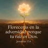 user7485036510293