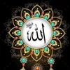 hanasa.omar